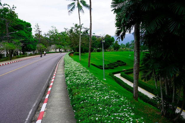 Thailandia Isola di Phuket zona laguna natura e case spiaggia e mare