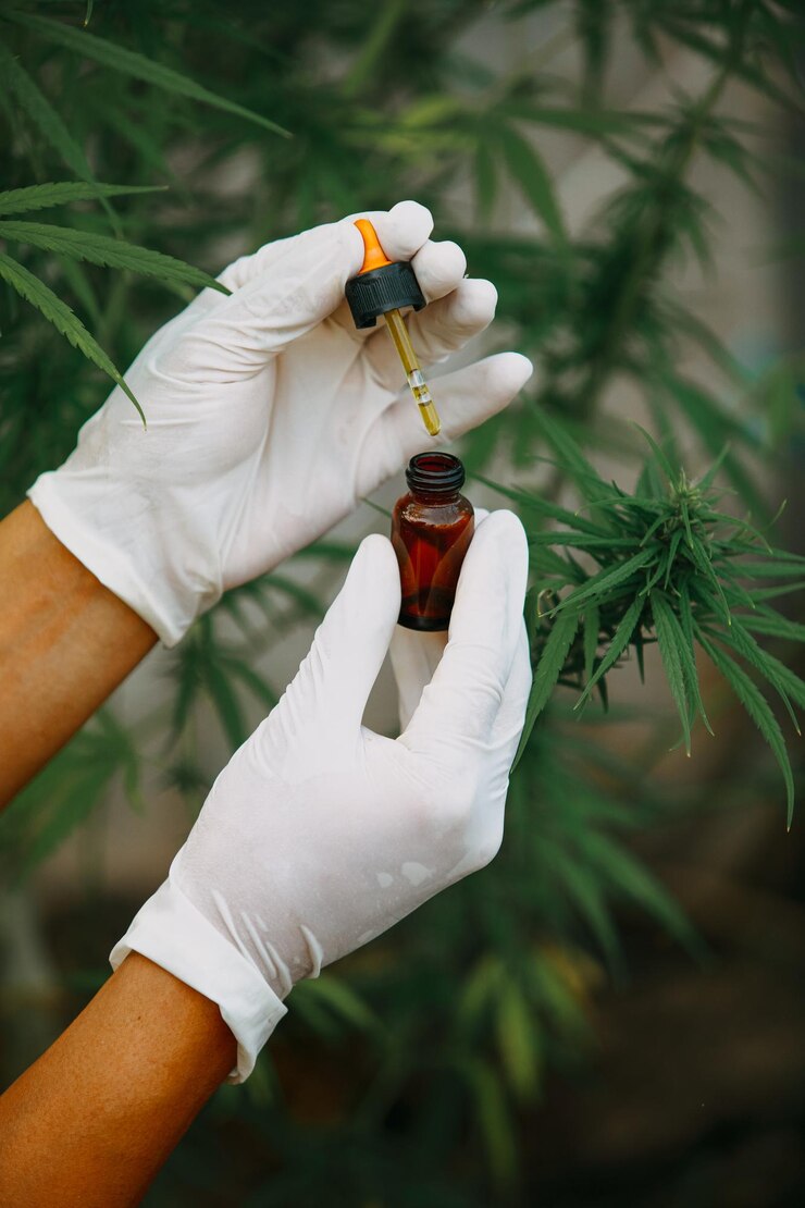 The expert holding a bottle CBD of hemp oil Medical marijuana products.