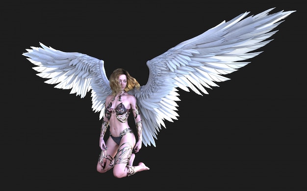 The Heaven Angel Wings, White Wing Plumage with Clipping Path.