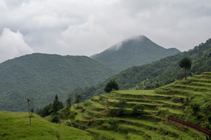 Photo the mountain was filled with fog, and in front of the mountain were green fields
