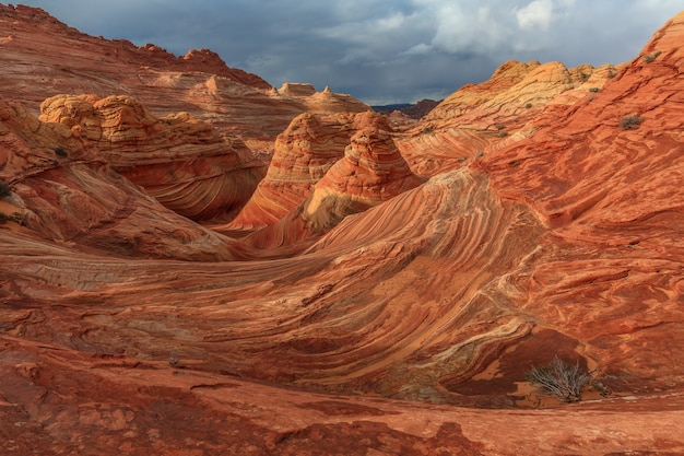 The Wave Coyote Butts North Arizona USA