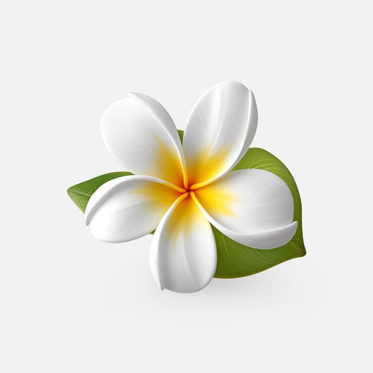 there is a white flower with yellow center on a white background generative ai