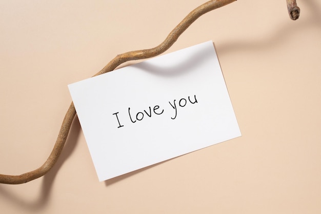 Ti amo card con lettering amore e concetto di san valentino