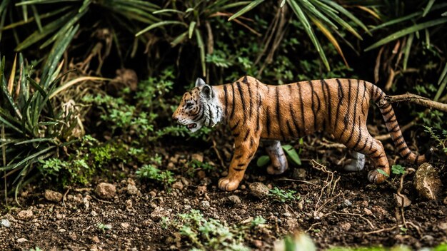 Tigre che cammina in un campo - foto di giocattoli