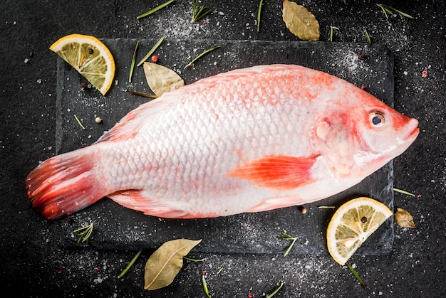 Tilapia rosso del pesce crudo