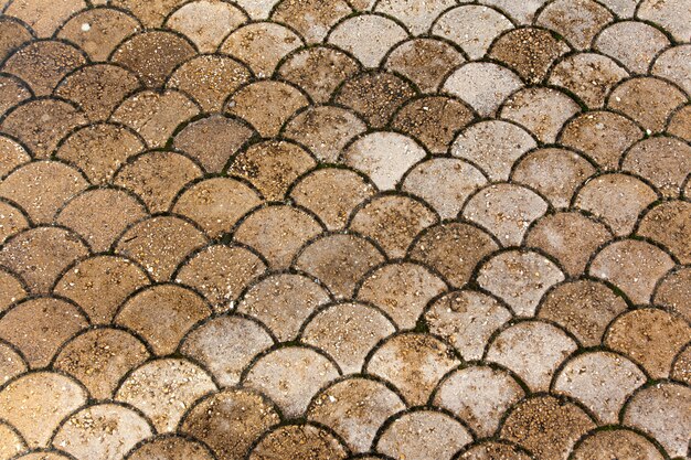 Tile texture stones Square. strada asfaltata delle mattonelle di struttura