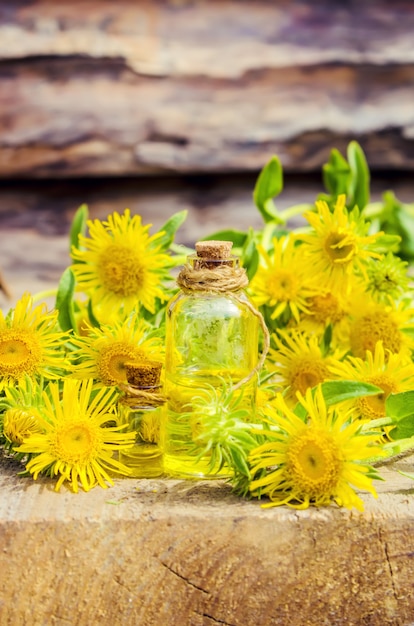 Tintura di elecampane.Medicinale rimedio popolare tintura dalle radici di inula