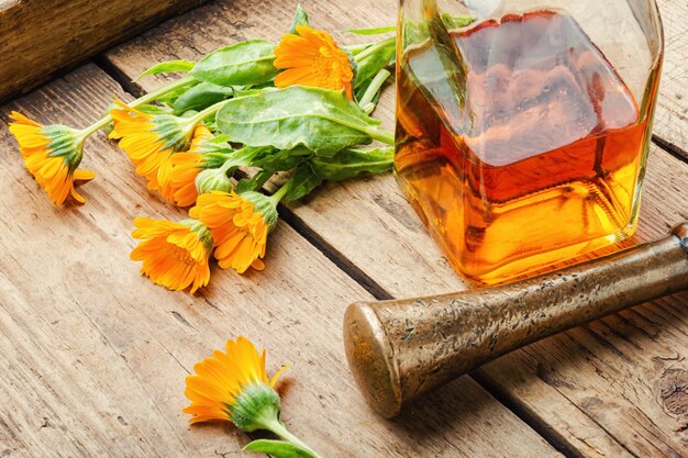 Tintura medicinale di fiori di calendula, erbe selvatiche medicinali. Bottiglia di tintura ed erbe curative