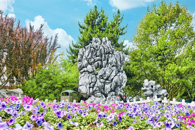 Tipico giardino cinese, parco con rocce bizzarre. Pechino, Cina