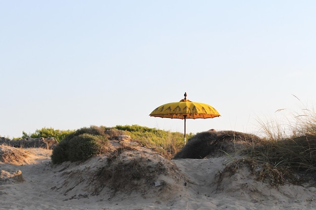 Tipico ombrellone balinese in piedi sulla spiaggia Salento Italia