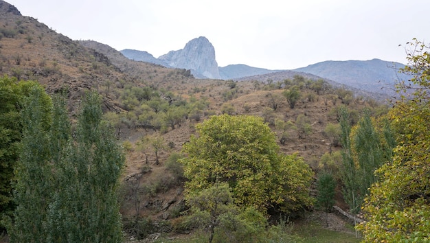 Tipico paesaggio della steppa in montagna