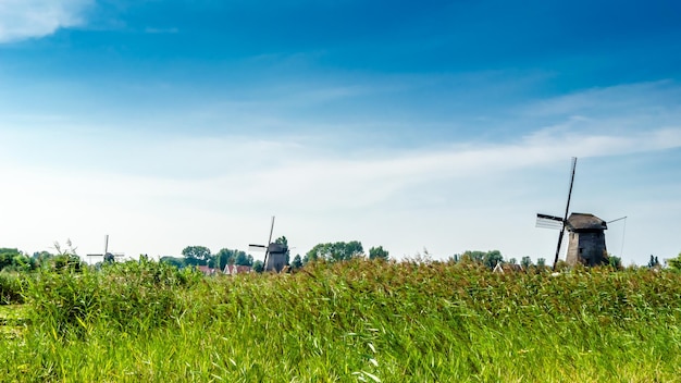 Tipico paesaggio olandese ad Alkmaar nei Paesi Bassi