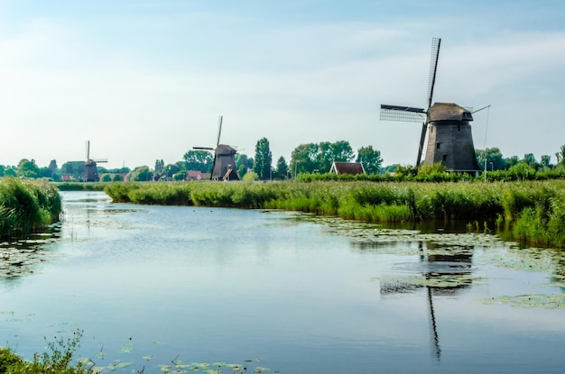 Tipico paesaggio olandese ad Alkmaar nei Paesi Bassi