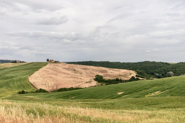 Tipico paesaggio toscano tranquillo, prati erbosi e tradizionali fattorie familiari