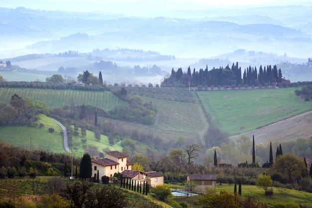 Tipico paesaggio toscano - una veduta di una villa su una collina, un viale di cipressi e una valle con vigneti, provincia di Siena. Toscana, Italia