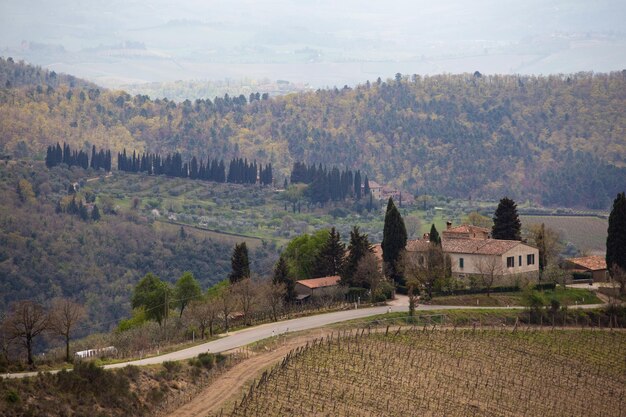 Tipico paesaggio toscano - una vista di una villa su una collina, un viale di cipressi e una valle con vigneti in provincia di Siena. Toscana, Italia