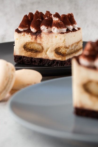 Tiramisù - Dessert classico con mascarpone e caffè. Delizioso dolce tiramisù su un piatto darck su uno sfondo di marmo chiaro. Foto verticale.