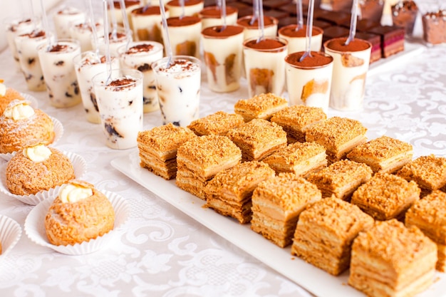 Tiramisù panna cotta dessert al cioccolato e torte sul tavolo del catering Gustosa torta al miele a strati sul tavolo dei dolci Tavolo da dessert per una festa