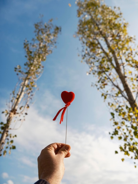 Tiro al concetto di San Valentino