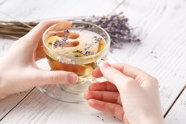 Tisana aromatica in tazza di vetro che tiene le mani femminili