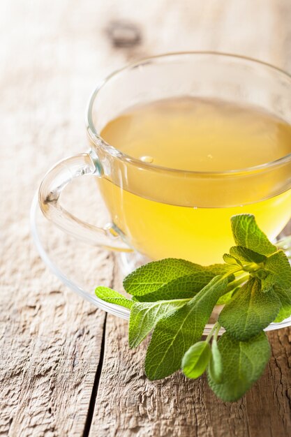 Tisana di salvia con foglia verde in tazza di vetro