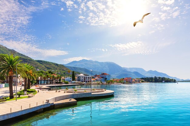 Tivat Porto Montenegro vista di un giorno d'estate soleggiato