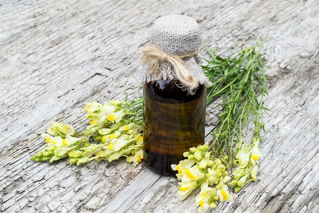 Toadflax comune Linaria vulgaris e bottiglia farmaceutica