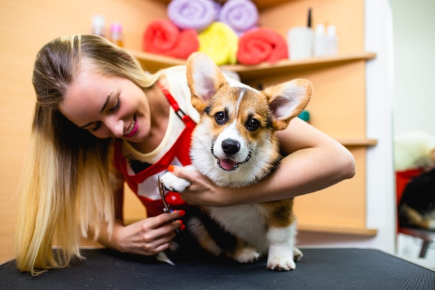 Toelettatore professionista che taglia le unghie del cane.