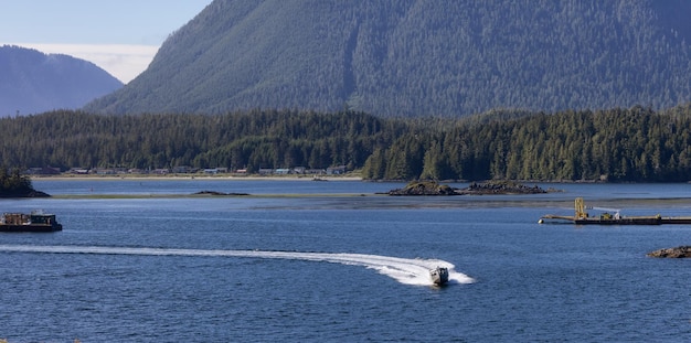 Tofino Vancouver Island british columbia canada vista del paesaggio montano canadese