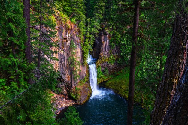 Toketee cade nella contea di Douglas, nell'Oregon