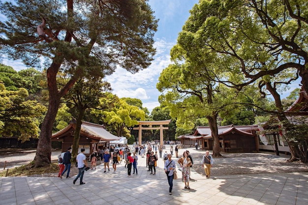 TOKYO GIAPPONE Maggio - 15, 2019: Santuario Meiji a Shibuya, Tokyo, Giappone