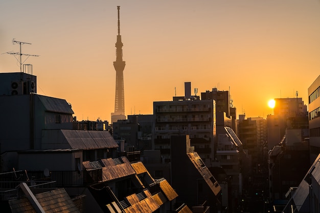 Tokyo Skytree sunrise Ueno