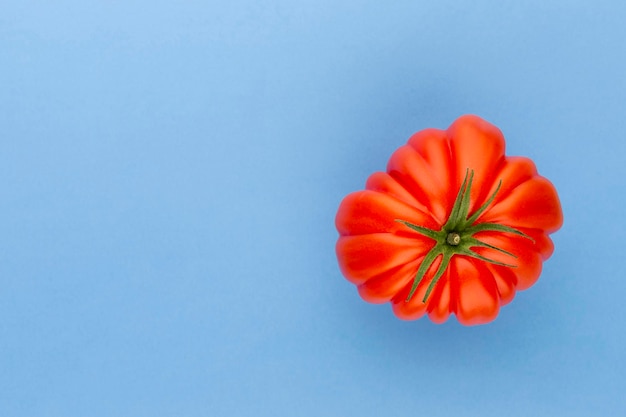 Tomato coeur sullo sfondo a colori.