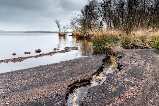 Torba e alberi spogli una vista invernale della riva del lago Brennilis in Bretagna