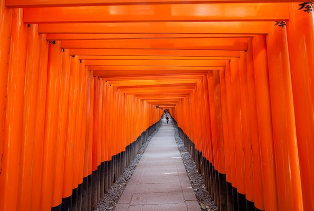 Torii cancelli a Fushimi inari a Kyoto