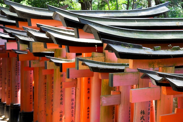 Torii rosso vivo nel santuario shintoista, Kyoto