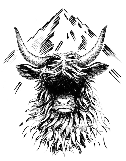 Toro di montagna. Disegno a inchiostro in bianco e nero