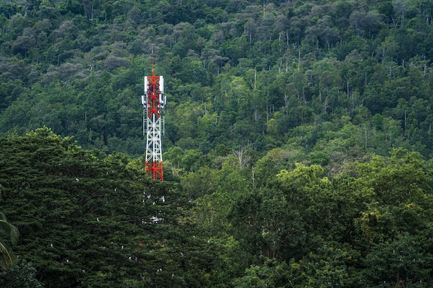 Torre dell'antenna di comunicazione per telecomunicazioni o torre dell'antenna del ricevitore della stazione mobile con copertura della foresta di montagne e della foresta pluviale sullo sfondo