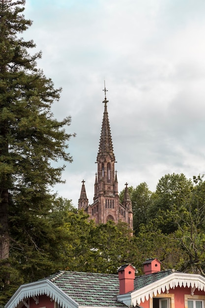 Torre della chiesa svettante tra gli alberi