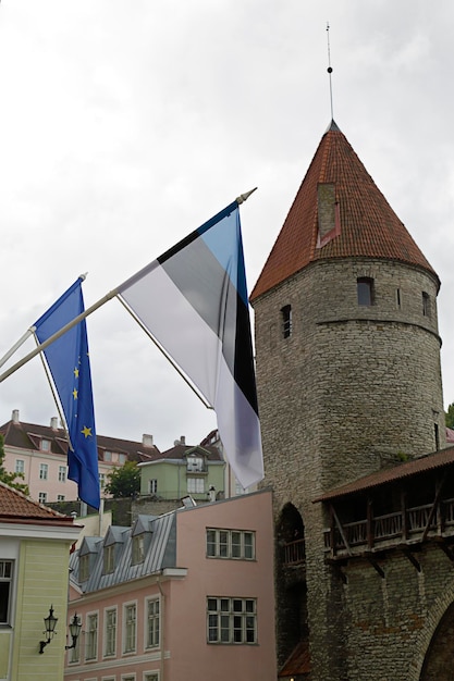 Torre della muraglia medievale di Tallinn, Estonia