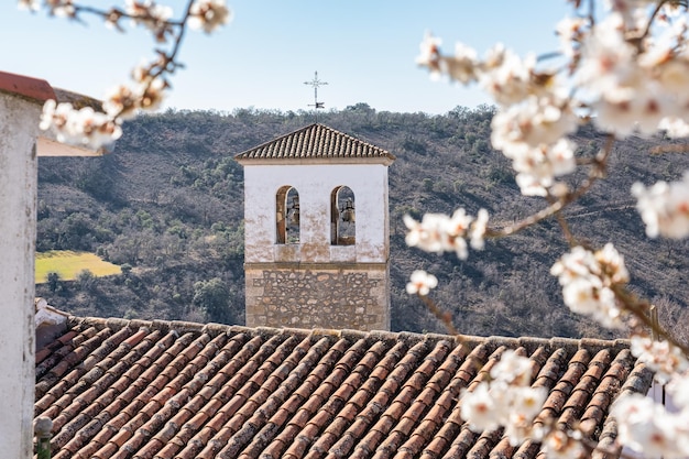 Torre della vecchia chiesa in pietra che appare tra i fiori di mandorlo Olmeda de las Fuentes Madrid