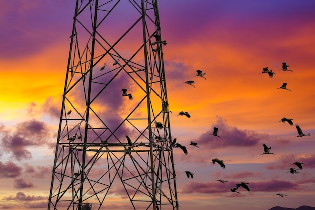 Torre delle telecomunicazioni al cielo al tramonto