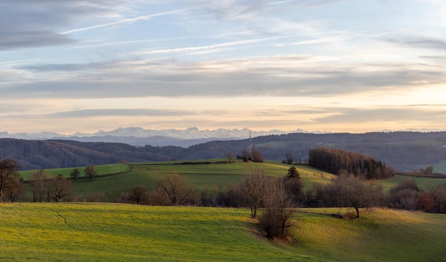 Torre delle telecomunicazioni nella valle verde collinare al tramonto sullo sfondo