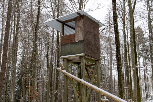 Torre di caccia in legno nella foresta