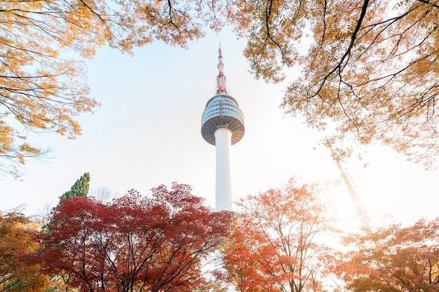 Torre di Seoul con le foglie di acero gialle e rosse di autunno alla montagna di Namsan in Corea del Sud.