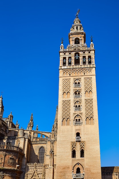 Torre di Siviglia Giralda torre Siviglia Spagna