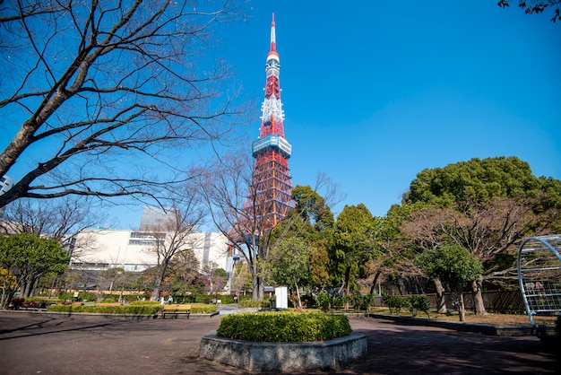 Torre di Tokyo con cielo blu