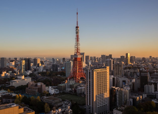 Torre di Tokyo in mezzo agli edifici della città contro un cielo limpido durante il tramonto