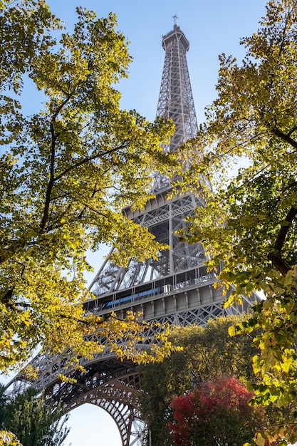 Torre Eiffel attraverso gli alberi