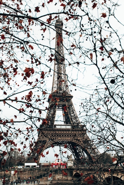 Torre Eiffel di Parigi attraverso i rami degli alberi in tempo nuvoloso